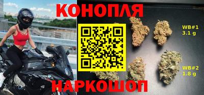 гашик Ставрополь