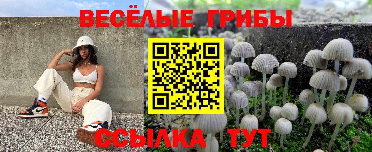 Медногорск  как найти   Вход с VPN  Псилоцибиновые грибы Psilocybine cubensis 